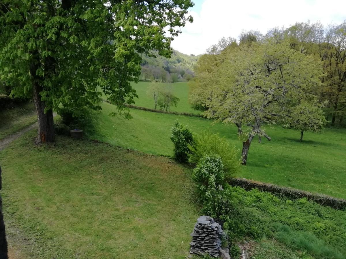Maison à la campagne au cœur du Cantal dept 15 Marmanhac Exterior foto