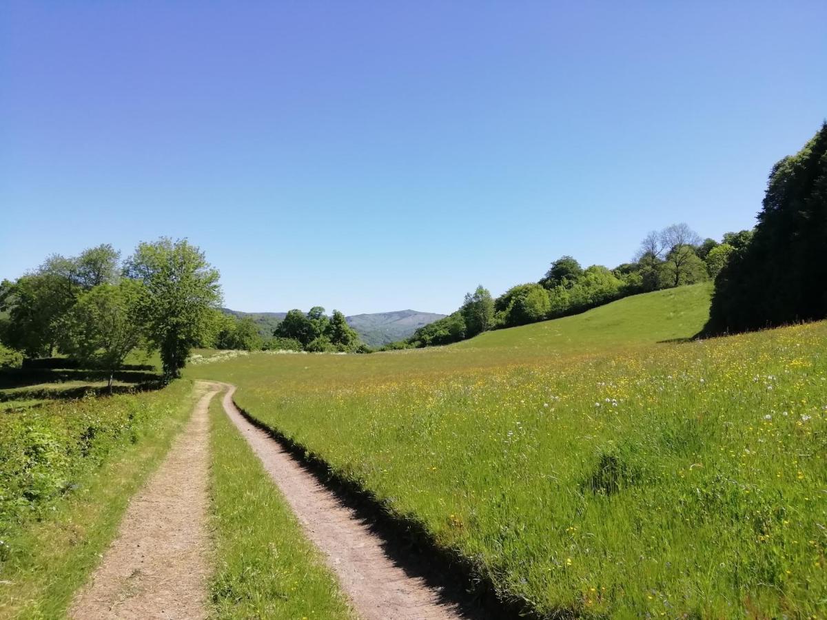 Maison à la campagne au cœur du Cantal dept 15 Marmanhac Exterior foto